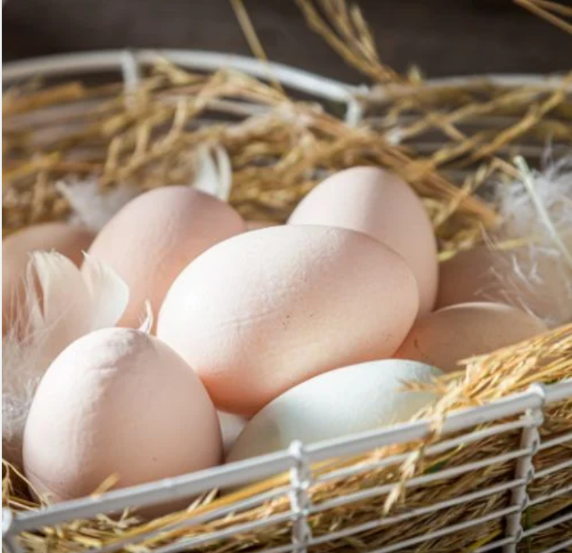Oeuf Fermier