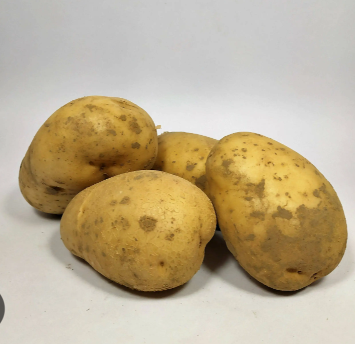Image Pomme de terre