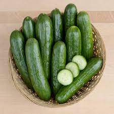 Concombre vert