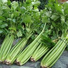 Celeri