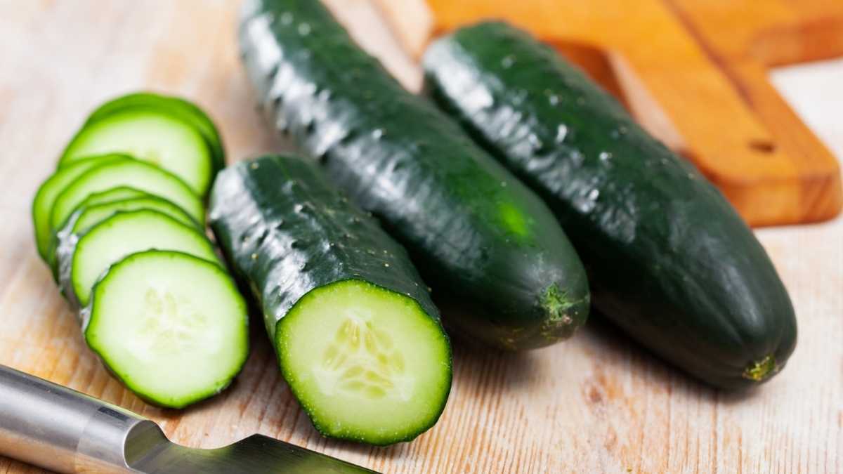 Concombre vert