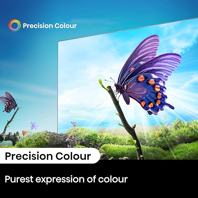 TV HISENSE 55 PUCES